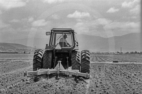 Surcos, Baja California | Fine Art Photography Landscape Documentary Print for Sale | Chronoscope Pictures