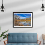 Trio, Bosque Rio Grande, Albuquerque, NM | Fine Art Photography Print for Sale | Chronoscope Pictures