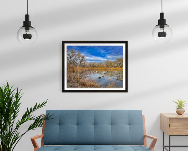 Trio, Bosque Rio Grande, Albuquerque, NM | Fine Art Photography Print for Sale | Chronoscope Pictures