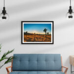 DEMO SNM6488 JOSHUA TREE BFWM