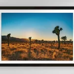 SNM6488 JOSHUA TREE SHOPIMG BFWM