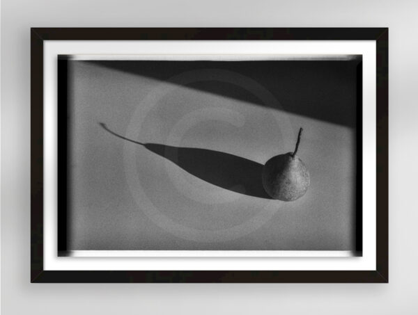 Pera, 1990 | Fine Art Still Life Photography Print for Sale | Chronoscope Pictures