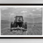 Surcos | Fine Art Landscape Documentary Photography Print for Sale | Chronoscope Pictures