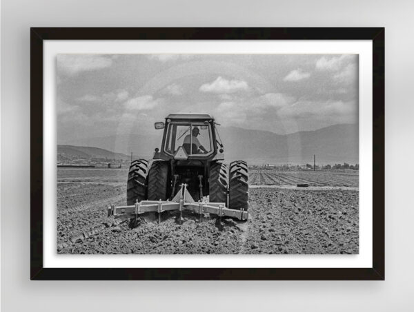 Surcos | Fine Art Landscape Documentary Photography Print for Sale | Chronoscope Pictures
